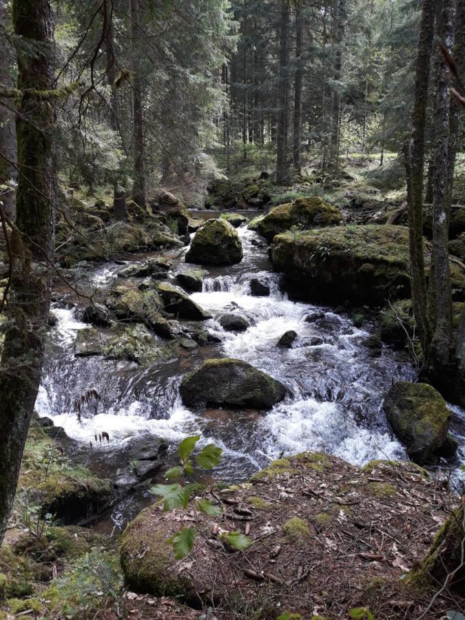 Anno - Die Wohlfuehl - Idylle In Gruenbach_Kirchdorf Kirchdorf im Wald Dış mekan fotoğraf